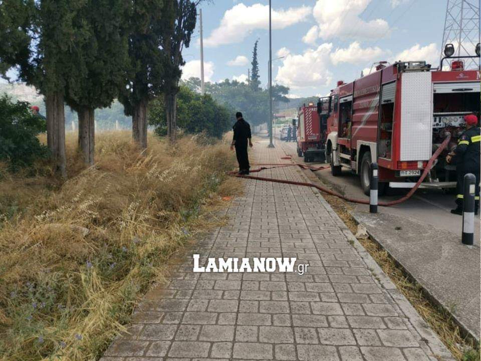 received 283524056029017 | Lamianow.gr