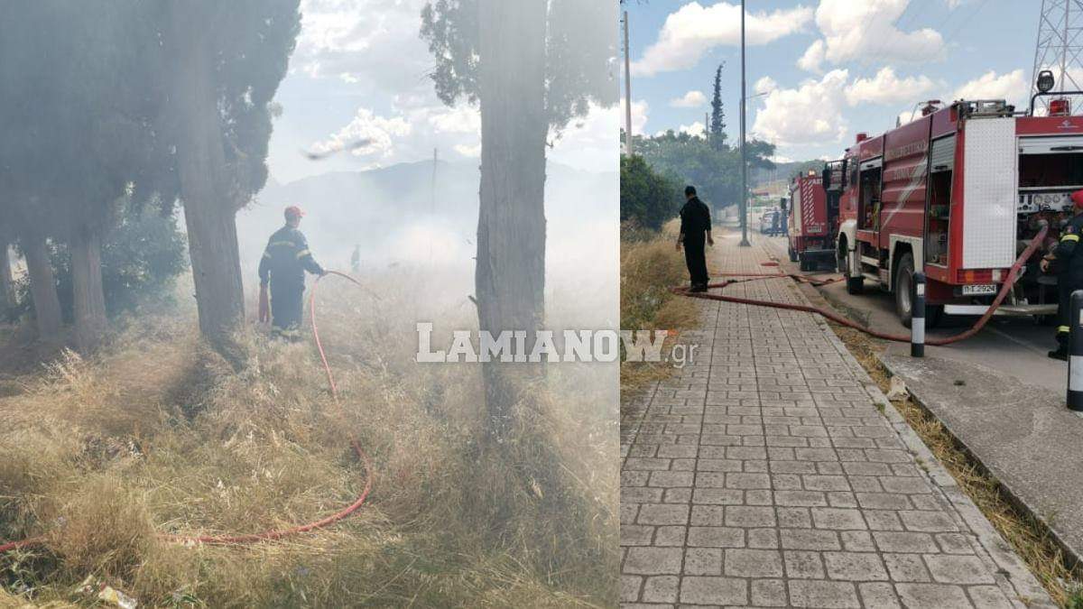 received 710517049763798 | Lamianow.gr