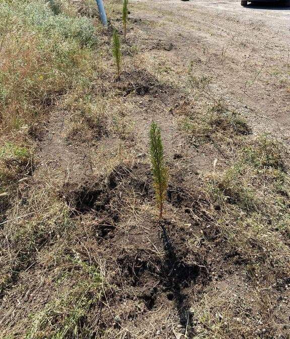 1332837416920593 | Lamianow.gr