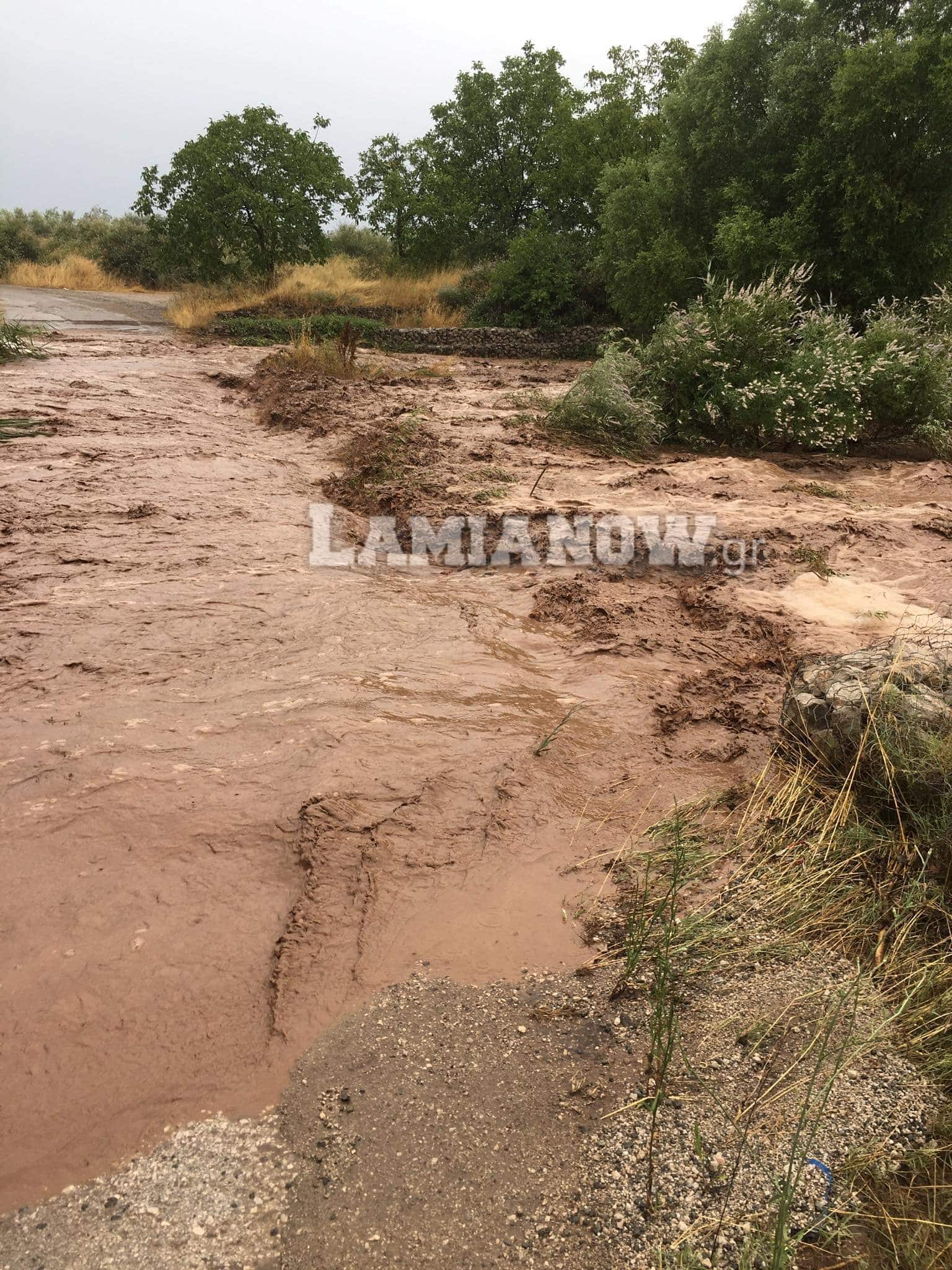 received 1362565413933002 | Lamianow.gr