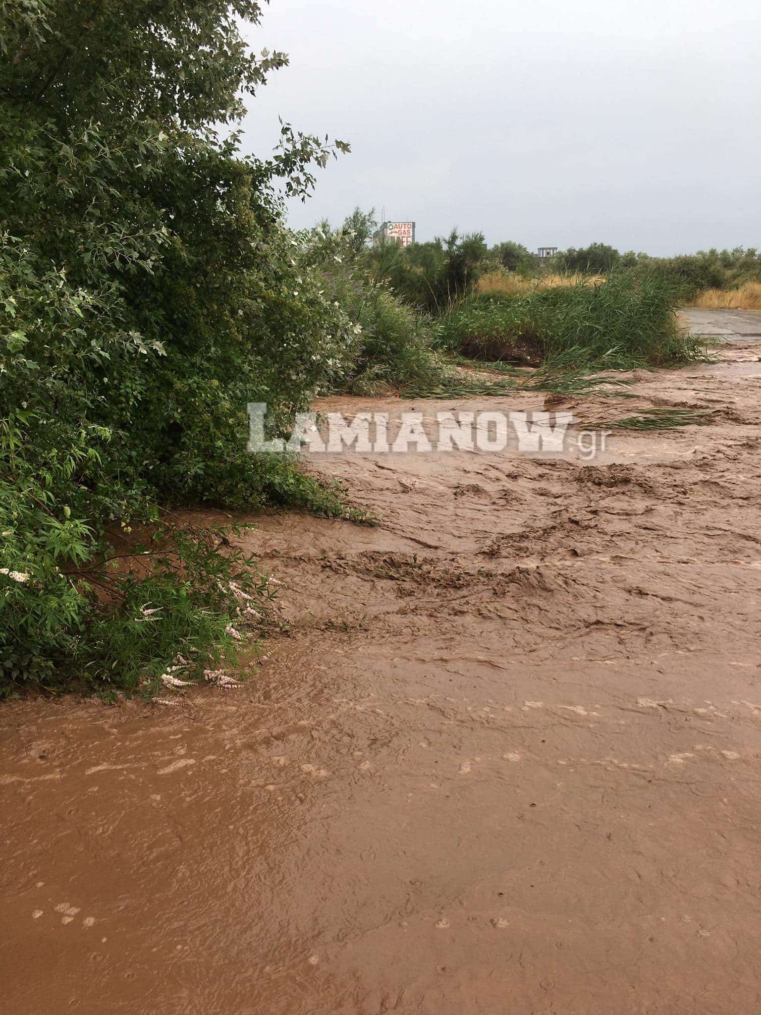 received 283295416252082 | Lamianow.gr