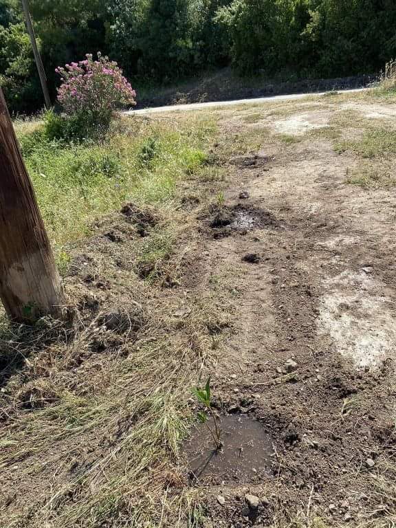 received 930472850761156 | Lamianow.gr