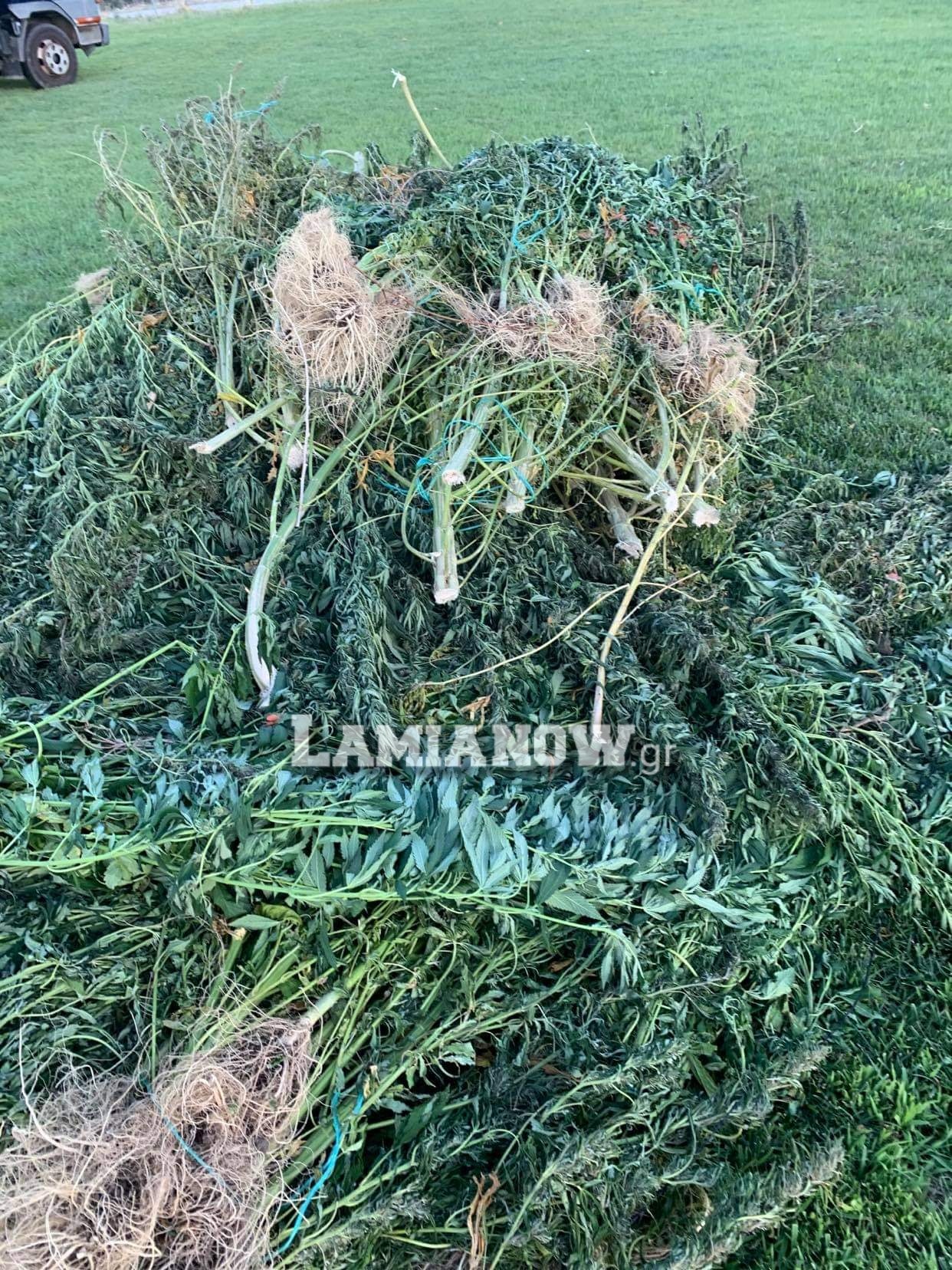 received 2834668783437389 | Lamianow.gr