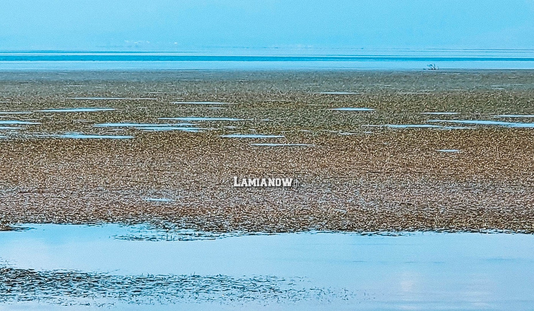https://lamianow.b-cdn.net/wp-content/uploads/2024/03/Iamia-Now-01-1-2-1-scaled.jpg