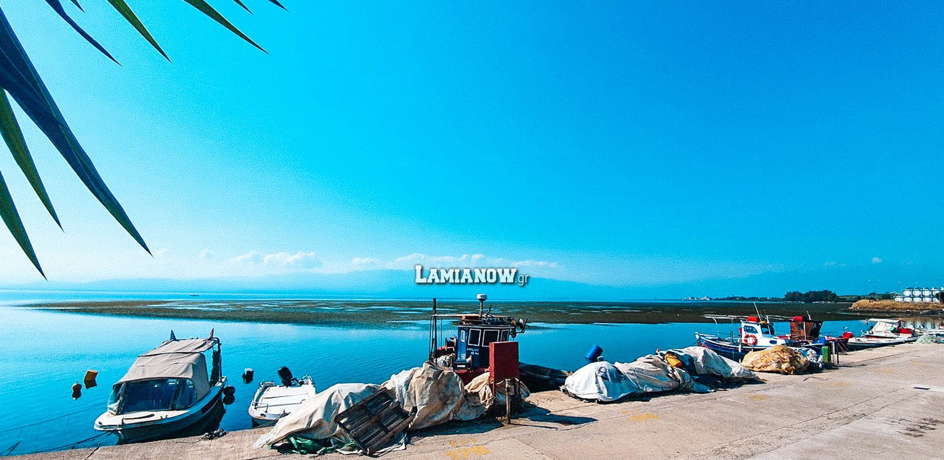 https://lamianow.b-cdn.net/wp-content/uploads/2024/03/Iamia-Now-01-1-2-1-scaled.jpg