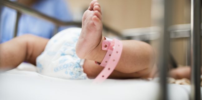 pexels photo 734541 | Lamianow.gr