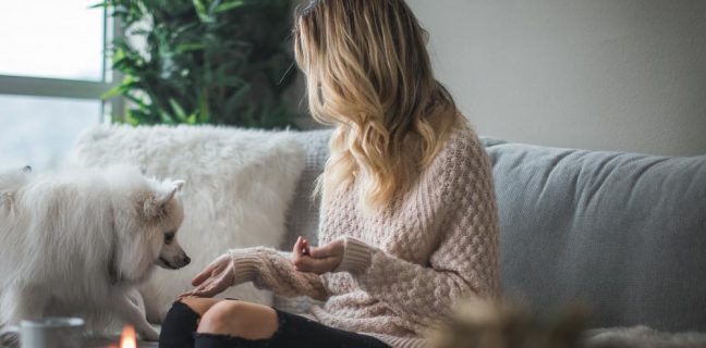 113149B2 783A 4297 9FF1 FF664077EA37 | Lamianow.gr