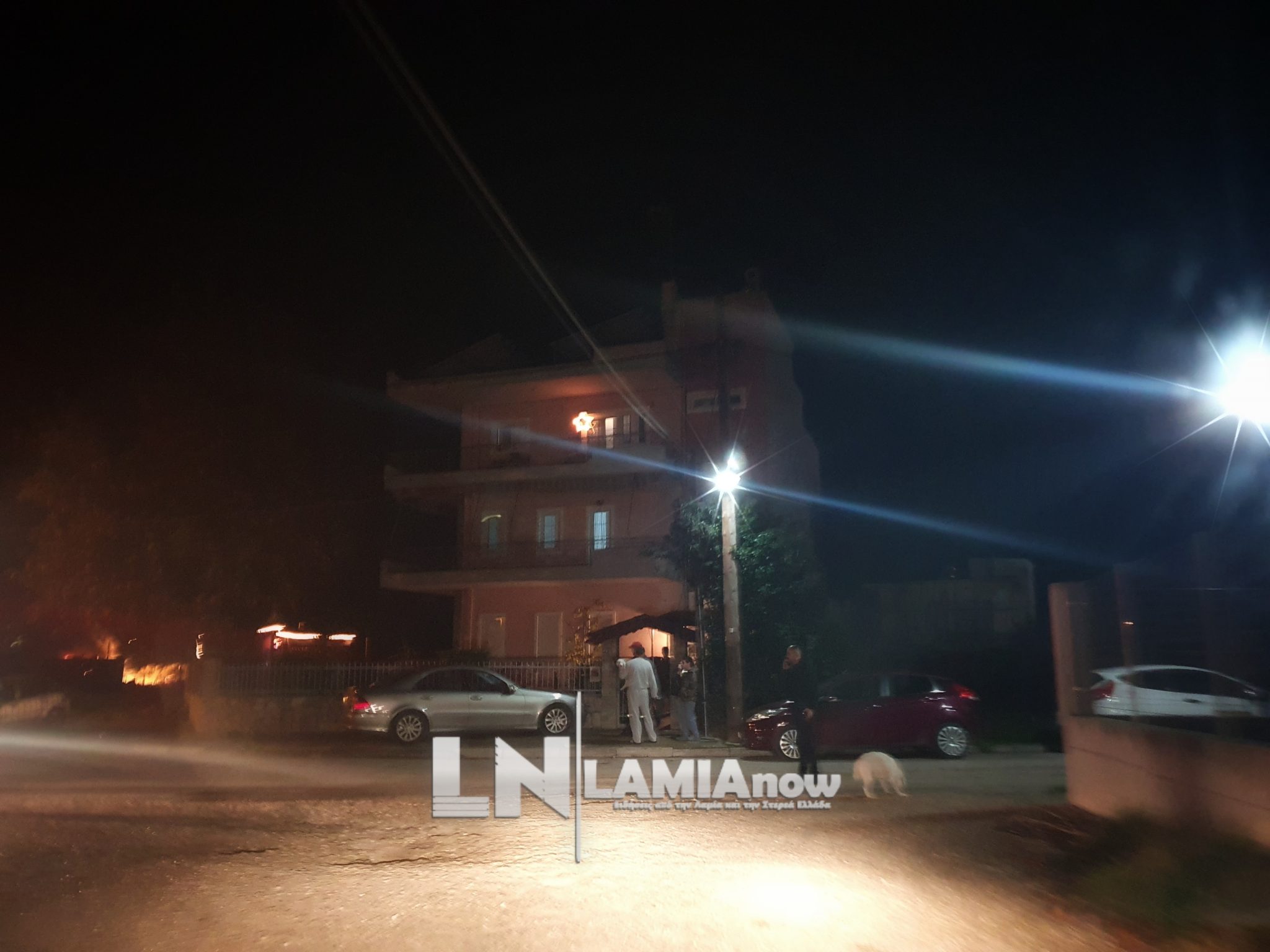 20201217 214208 01 scaled | Lamianow.gr