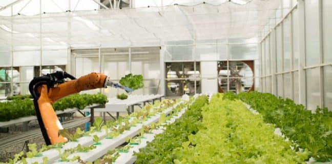 vSOFPMa333jn2QD2XyvB | Lamianow.gr