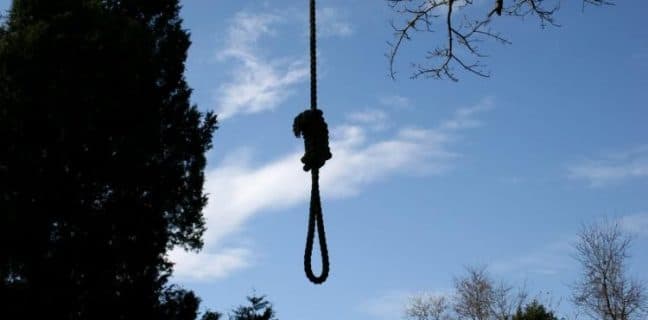 f275a8d29b3dc731815a80a47b754005bfbeafa5.750.500.5ab7fc948a6f69dd2933a79cd449d56c2ef1504d | Lamianow.gr