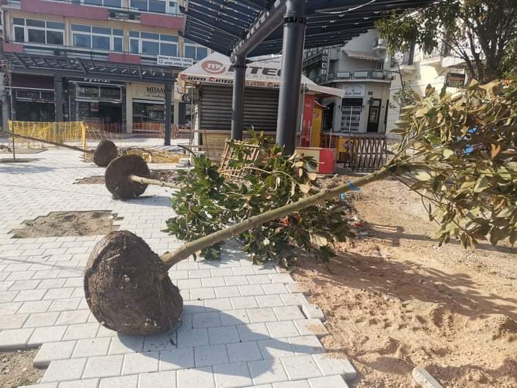 received 220155599897283 | Lamianow.gr