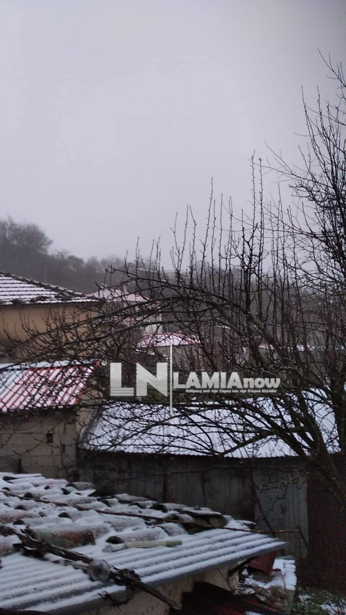 received 451153306233480 scaled | Lamianow.gr