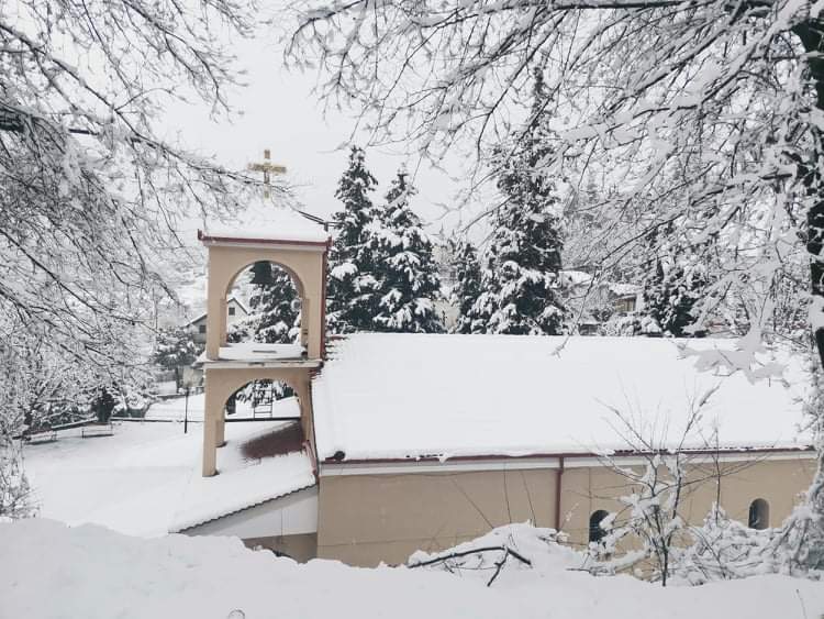 received 590635221895056 | Lamianow.gr