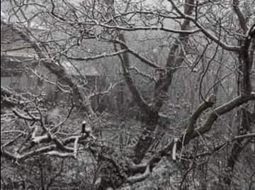 received 809485893254667 | Lamianow.gr