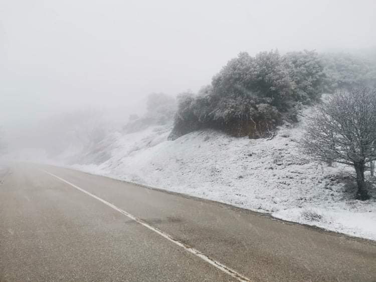 received 847255945825198 | Lamianow.gr