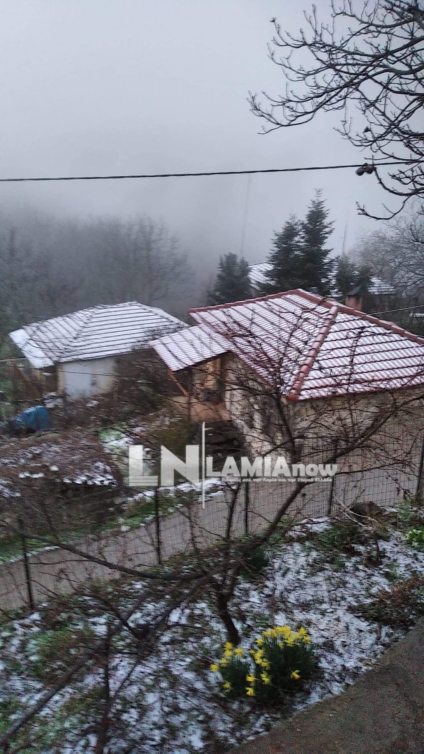 received 948280442644572 scaled | Lamianow.gr