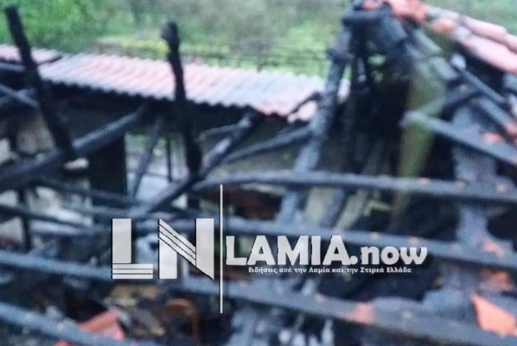 https://lamianow.b-cdn.net/wp-content/uploads/2024/03/Iamia-Now-01-1-2-1-scaled.jpg