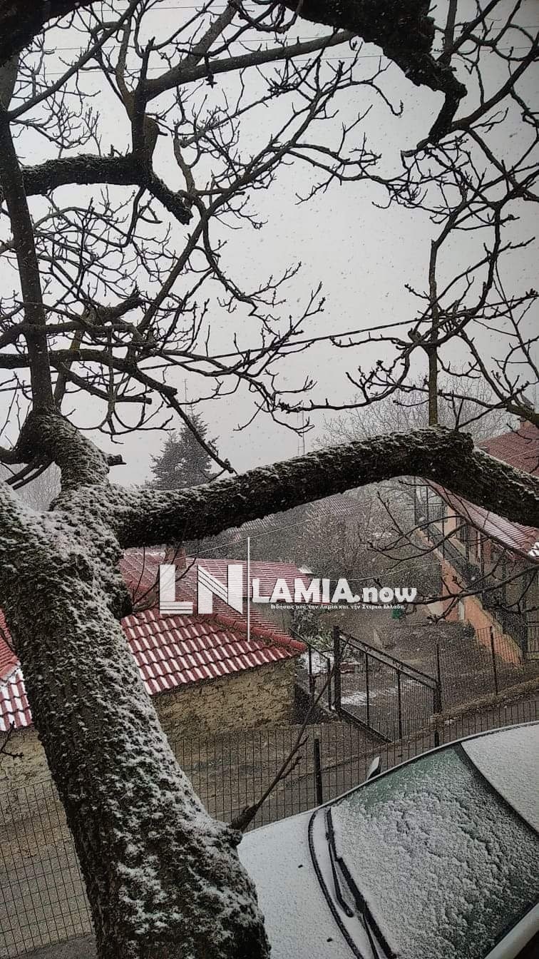 received 139688868096855 | Lamianow.gr