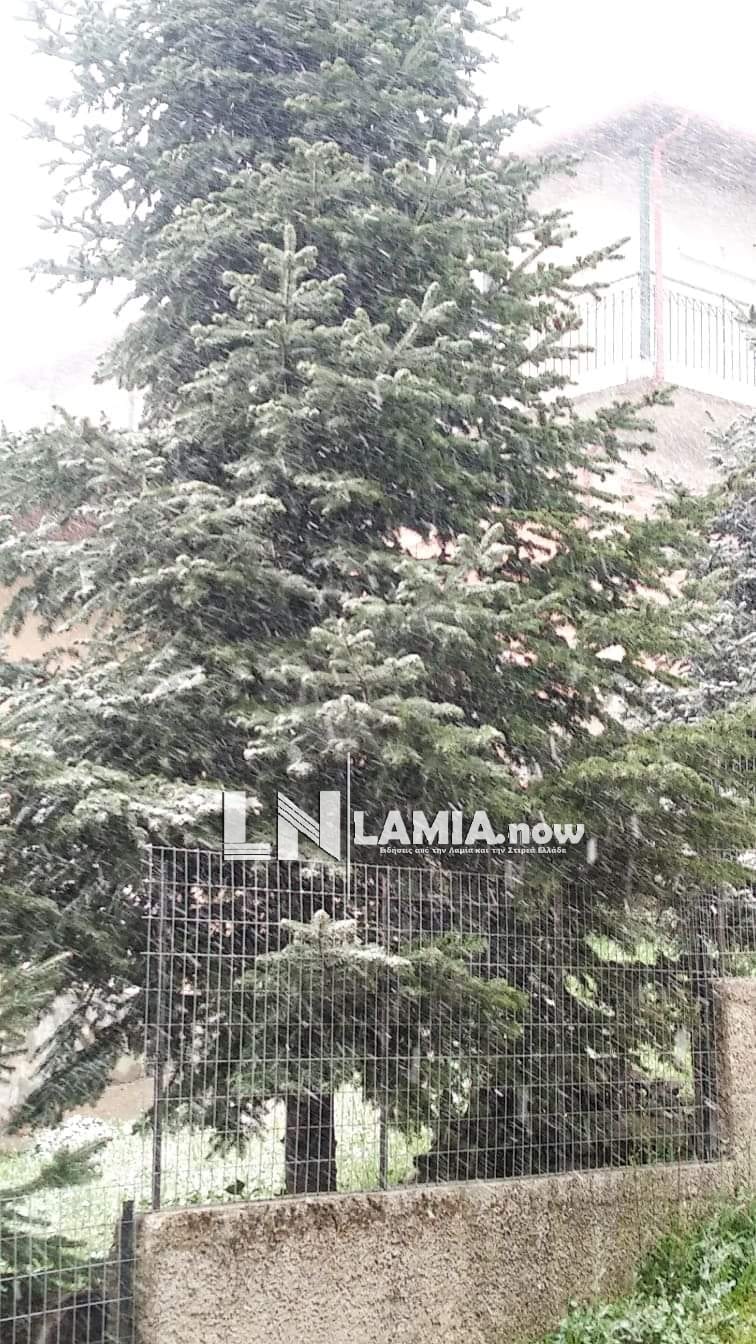 received 1874611602712827 | Lamianow.gr