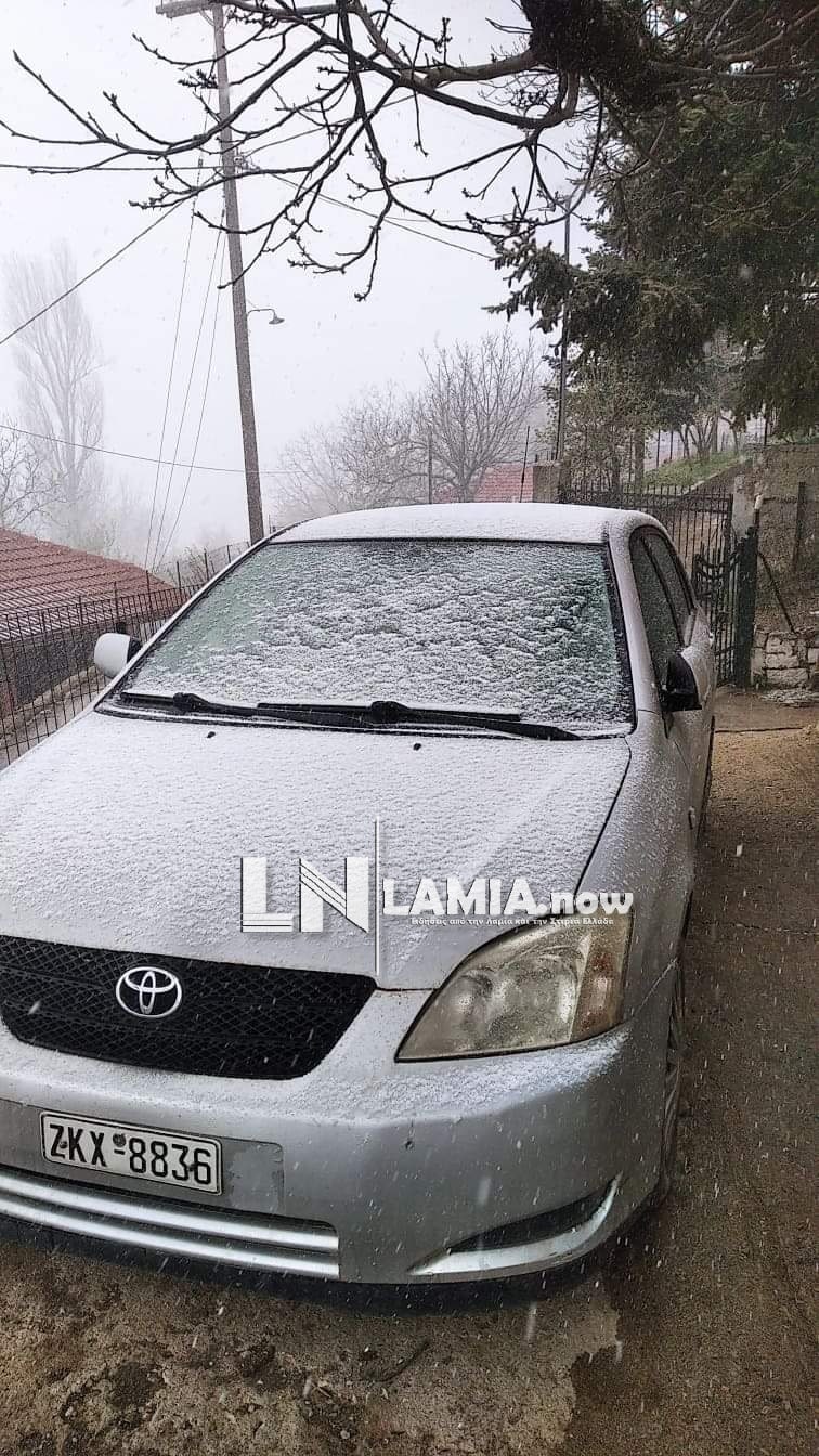 received 193323012384663 | Lamianow.gr