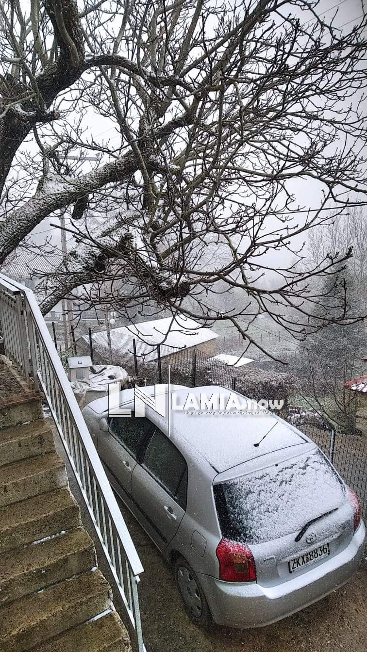 received 1935516393266883 | Lamianow.gr