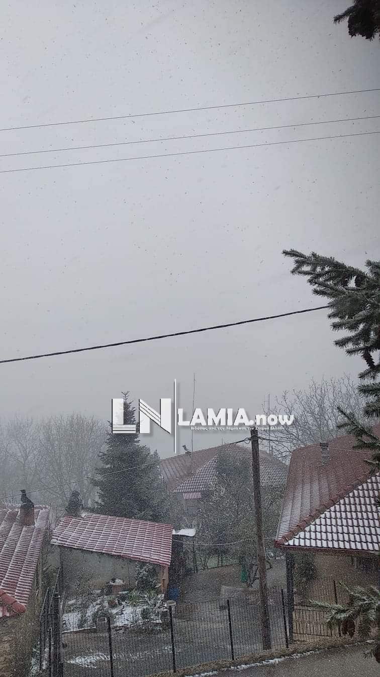 received 2624496764514941 | Lamianow.gr