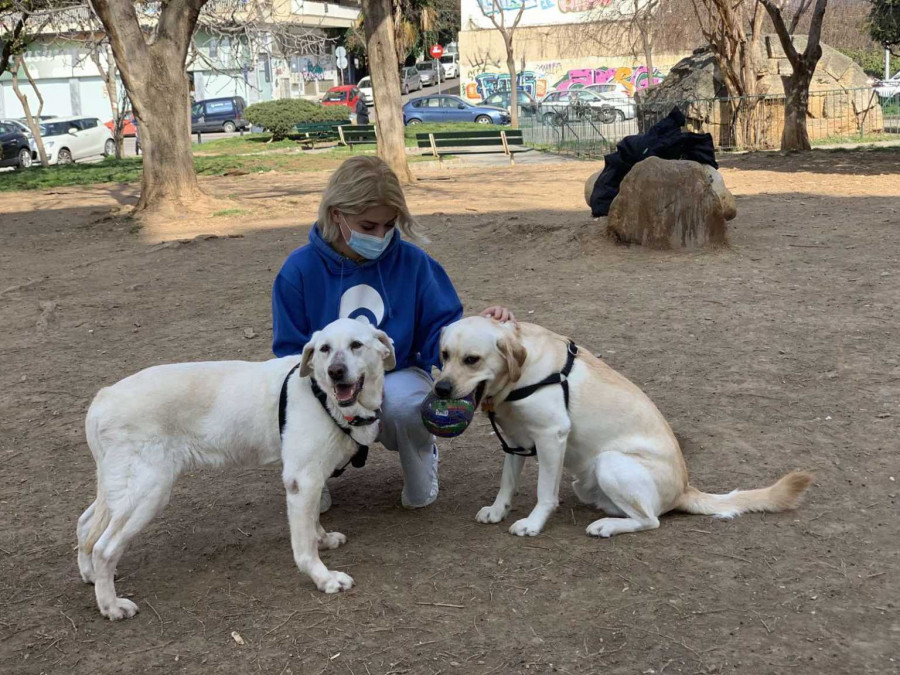 xiononifada1 1536x1152 1 | Lamianow.gr