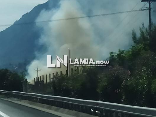 received 306269764405487 | Lamianow.gr