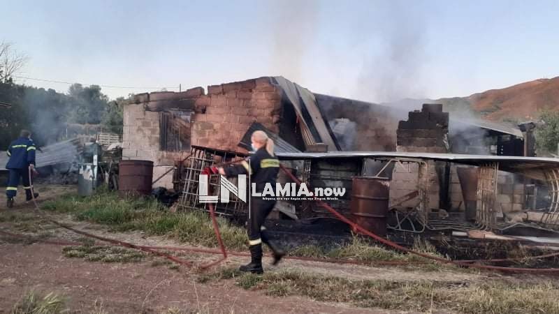 received 803185023647027 | Lamianow.gr