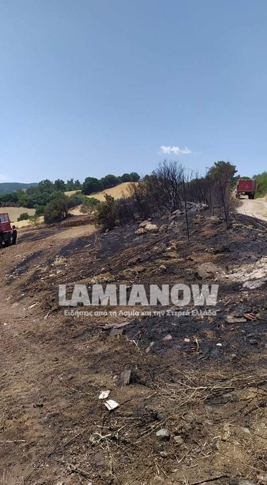 received 2476014771268051 | Lamianow.gr