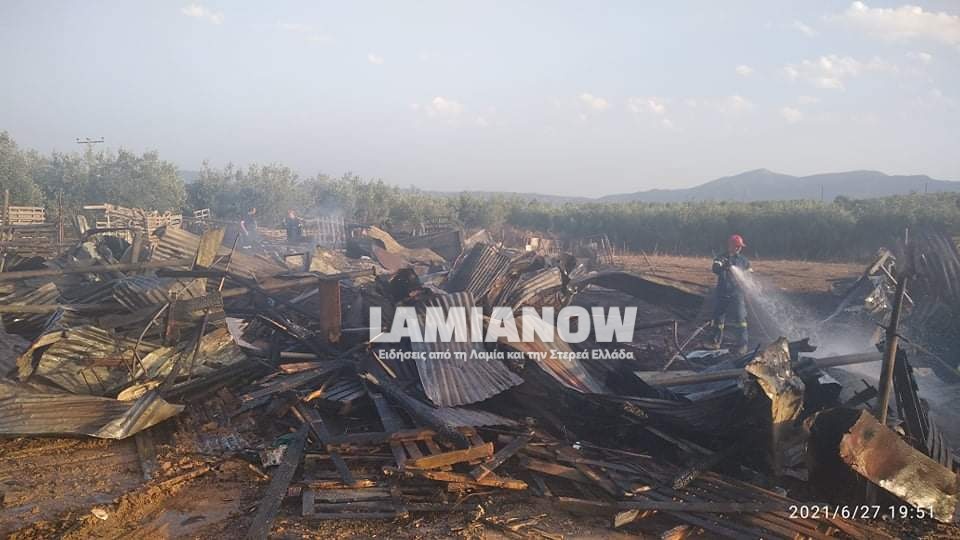 received 776668613001555 | Lamianow.gr