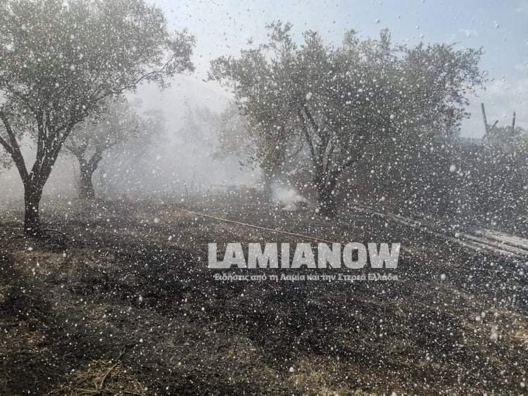 received 1226067837836344 | Lamianow.gr