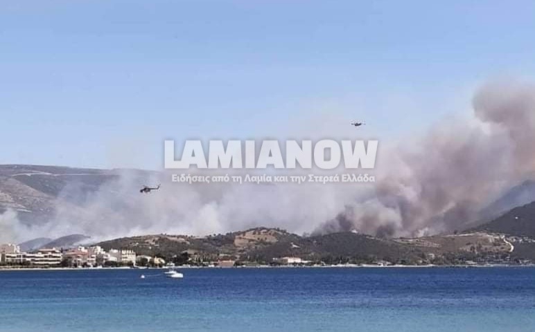 received 1448485412168343 1 | Lamianow.gr