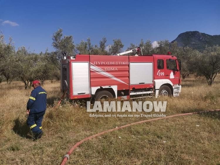 received 176797697714653 | Lamianow.gr