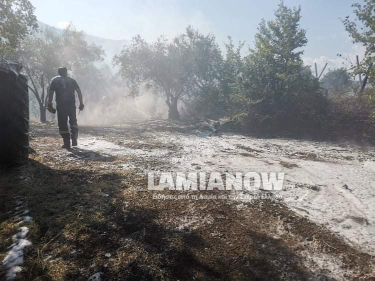 received 186899386753721 | Lamianow.gr