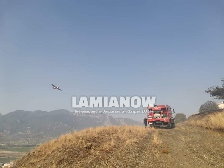 received 2635887280040489 | Lamianow.gr