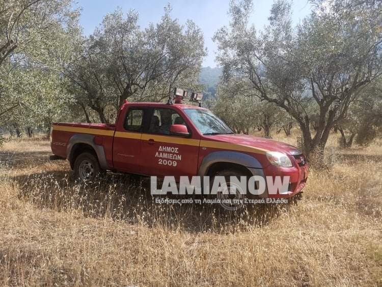 received 562208484959329 | Lamianow.gr