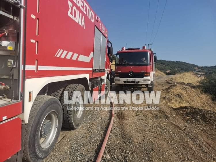 received 599170634386434 | Lamianow.gr