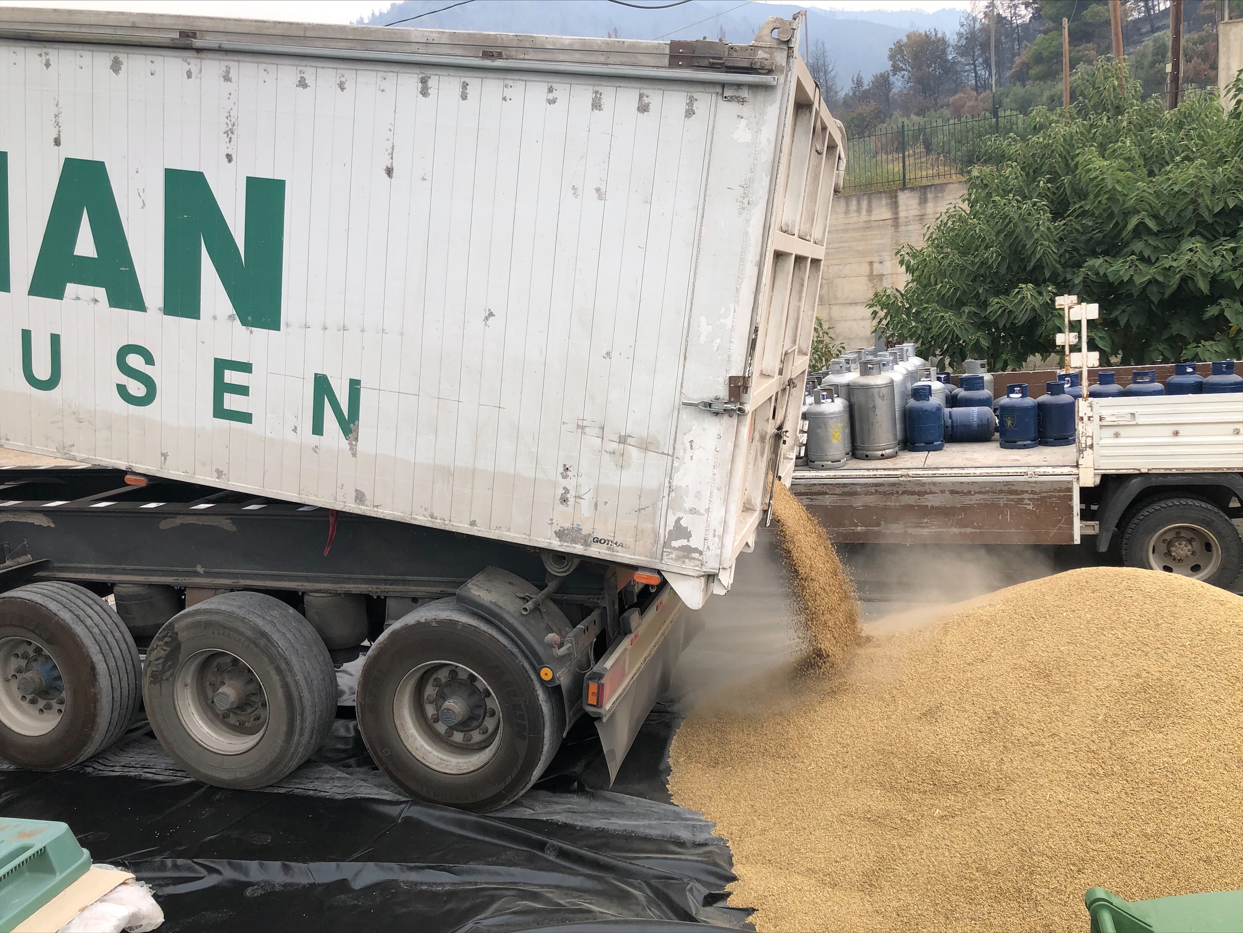 Image2 | Lamianow.gr