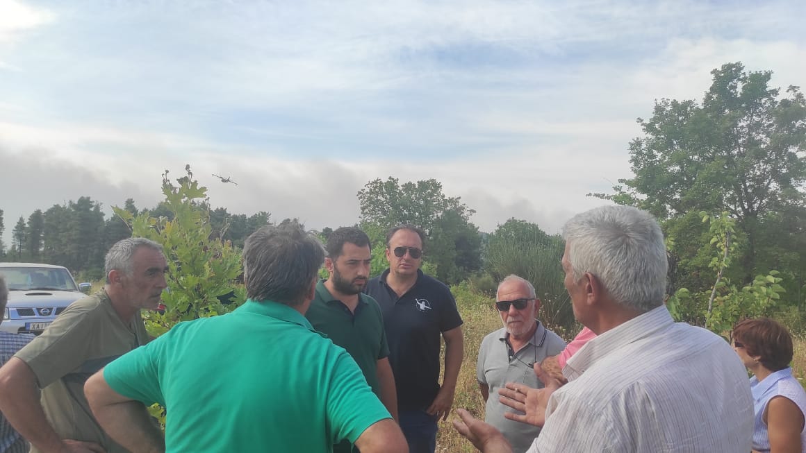 pyrkagia07ayg213 | Lamianow.gr