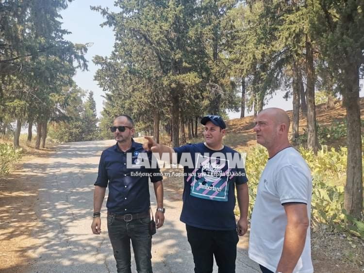 received 2028056144017501 | Lamianow.gr