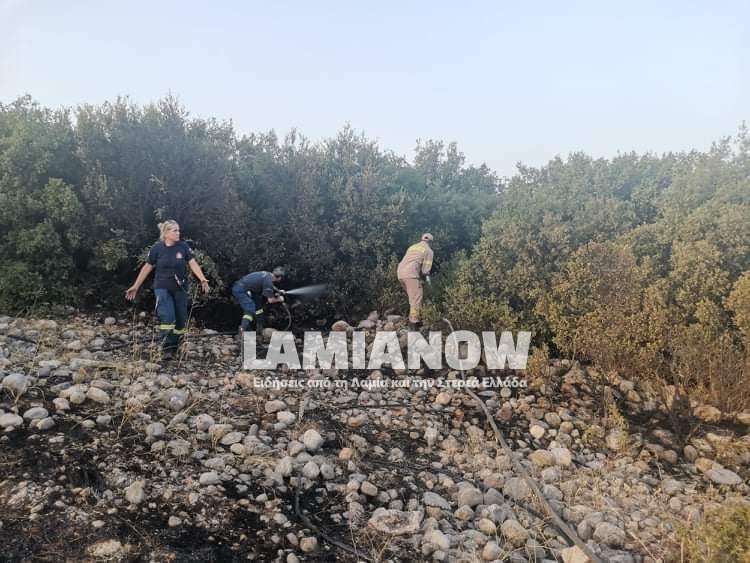 received 245503700725125 | Lamianow.gr