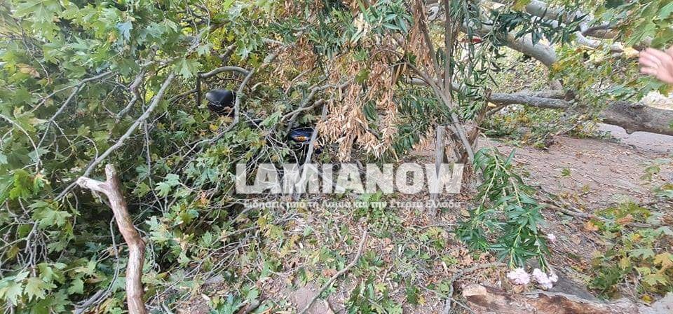 received 345487937311008 | Lamianow.gr