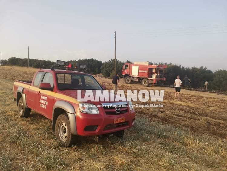 received 362912905407411 | Lamianow.gr