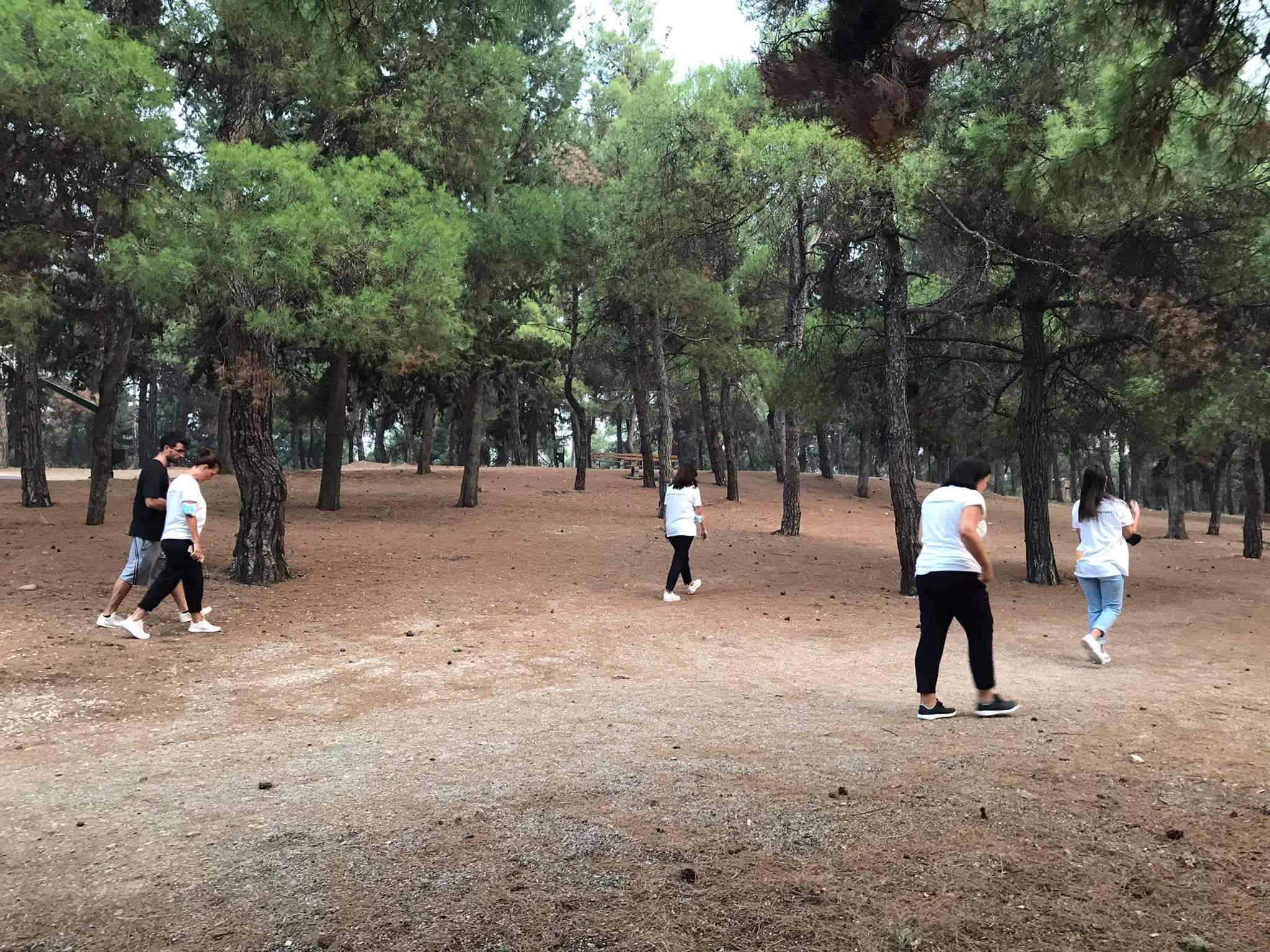 received 517254076050756 | Lamianow.gr