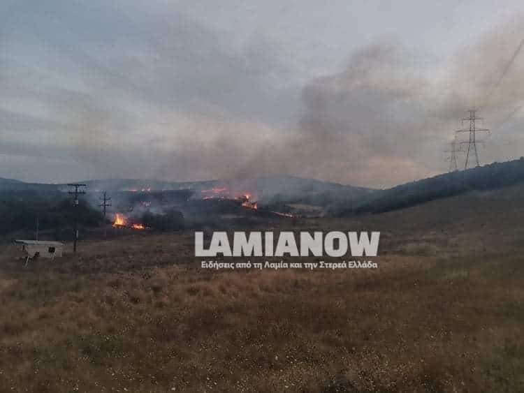 received 528404458217766 | Lamianow.gr