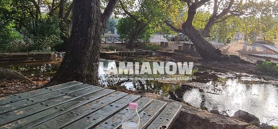 received 558490781864126 | Lamianow.gr