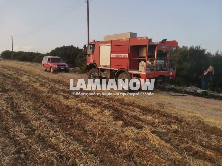 received 839960166626182 | Lamianow.gr