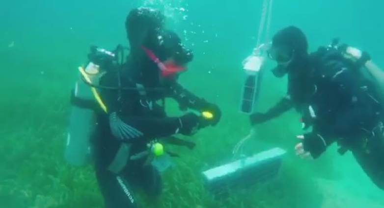 kava2 1 | Lamianow.gr