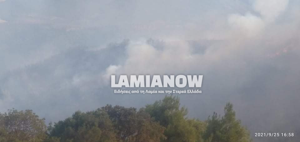 received 1010696119727427 | Lamianow.gr